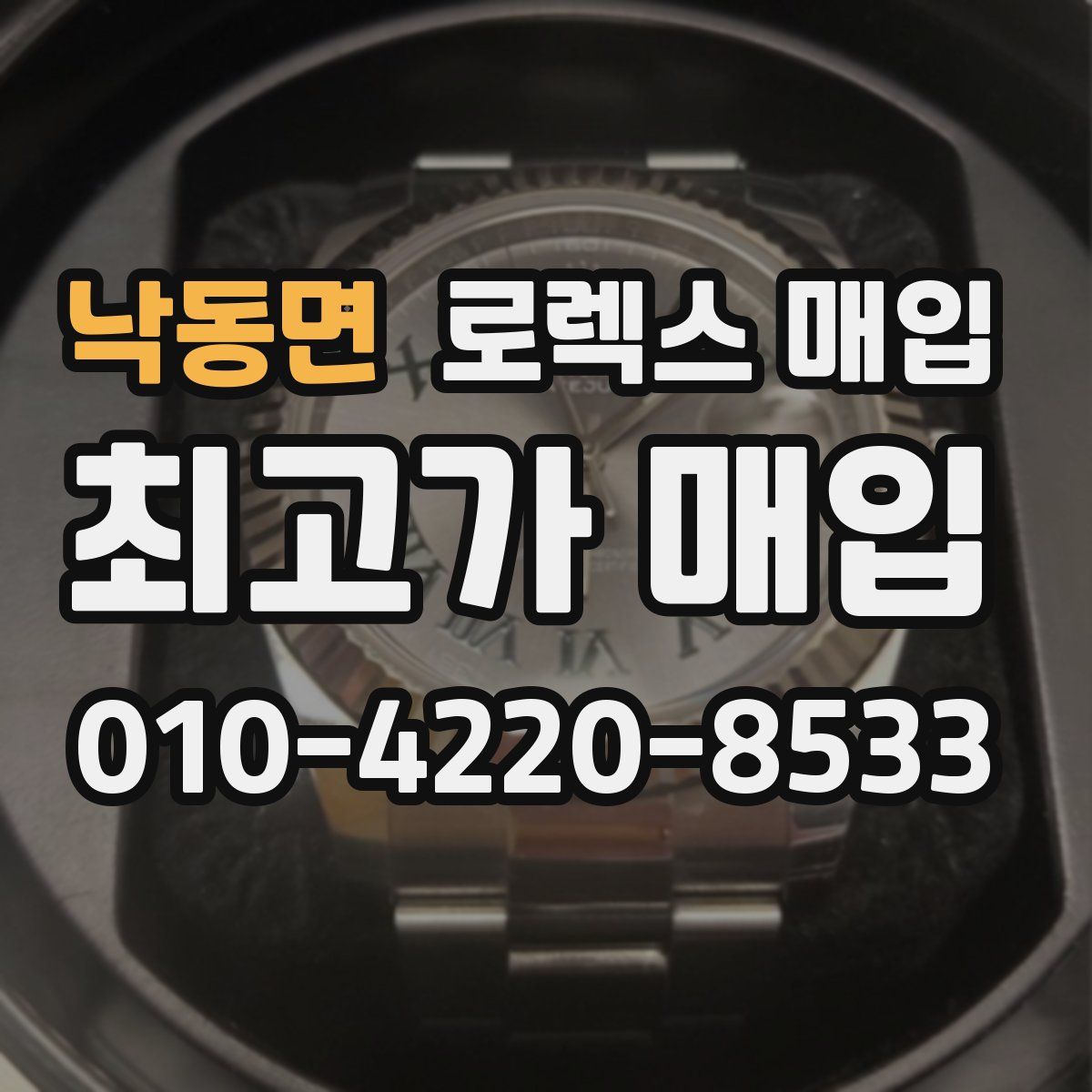낙동면 로렉스 매입