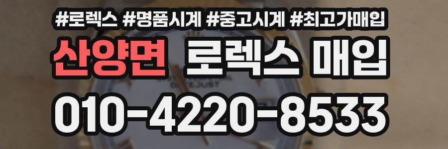 산양면 로렉스 매입