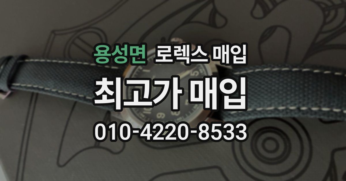 용성면 로렉스 매입