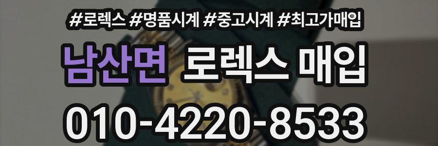 남산면 로렉스 매입