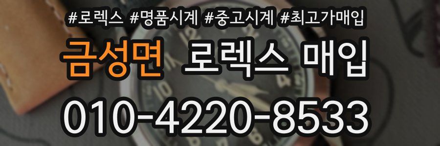 금성면 로렉스 매입