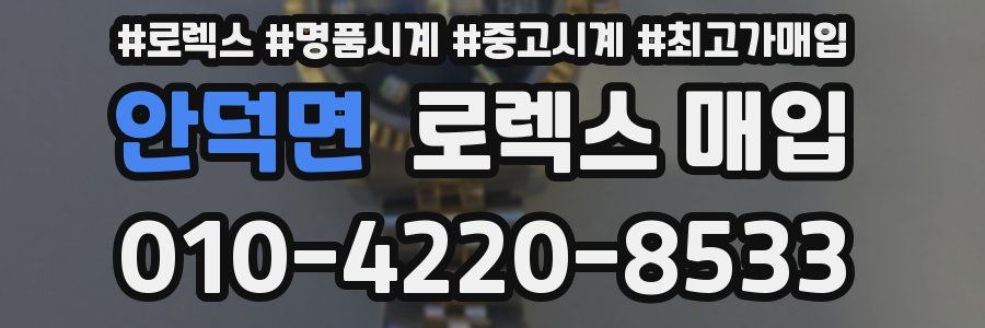 안덕면 로렉스 매입