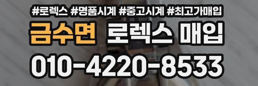 금수면 로렉스 매입