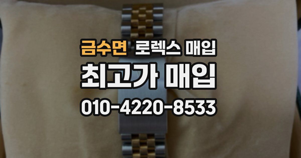금수면 로렉스 매입