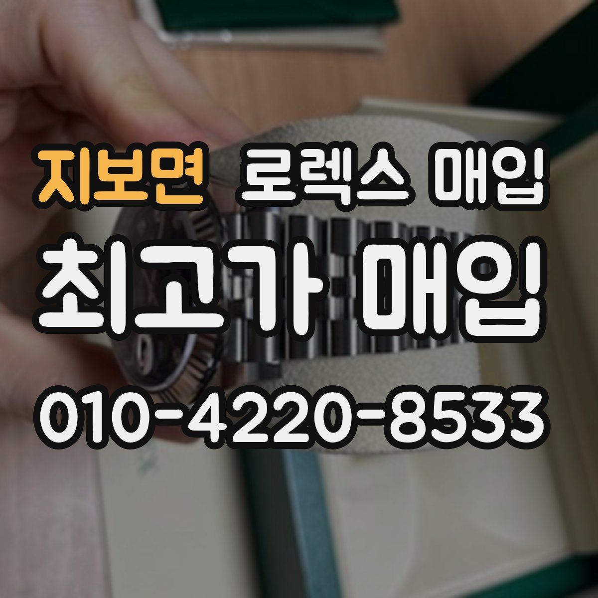 지보면 로렉스 매입