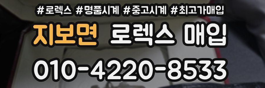 지보면 로렉스 매입