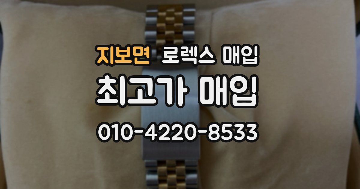 지보면 로렉스 매입