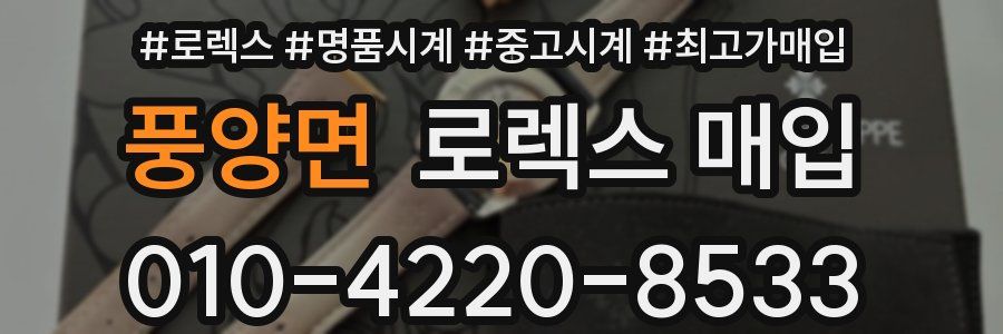 풍양면 로렉스 매입