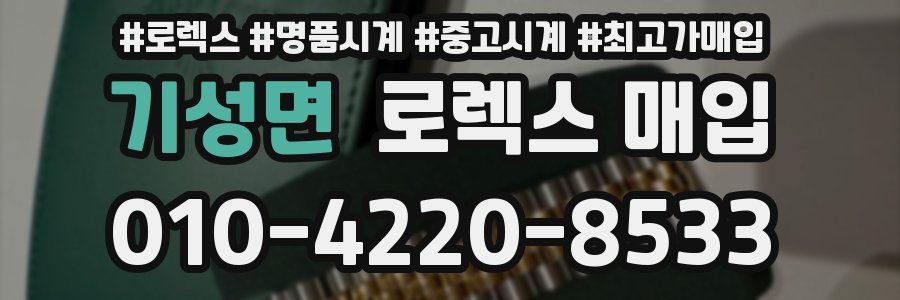 기성면 로렉스 매입