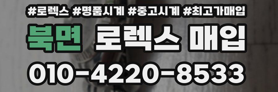 북면 로렉스 매입