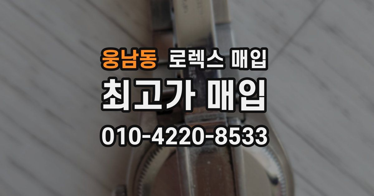 웅남동 로렉스 매입