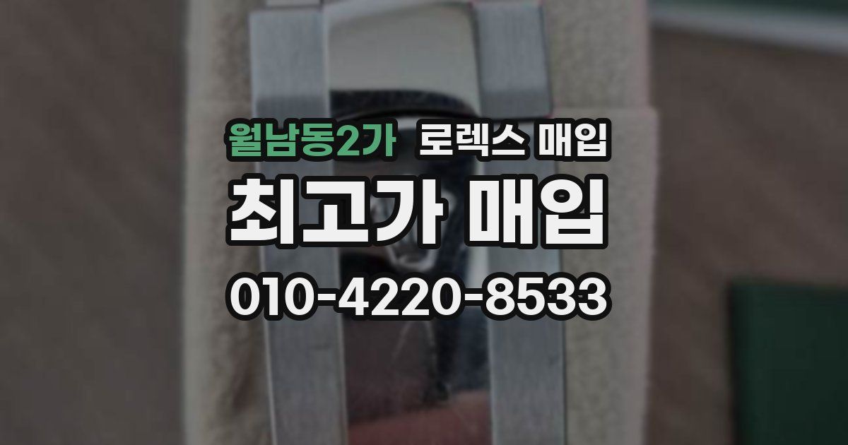 월남동2가 로렉스 매입