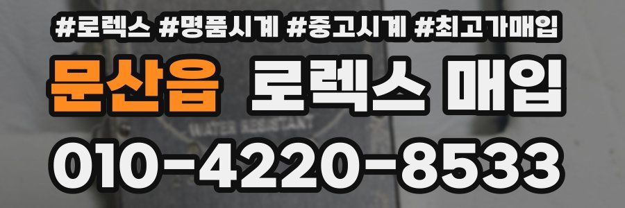 문산읍 로렉스 매입