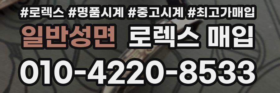 일반성면 로렉스 매입