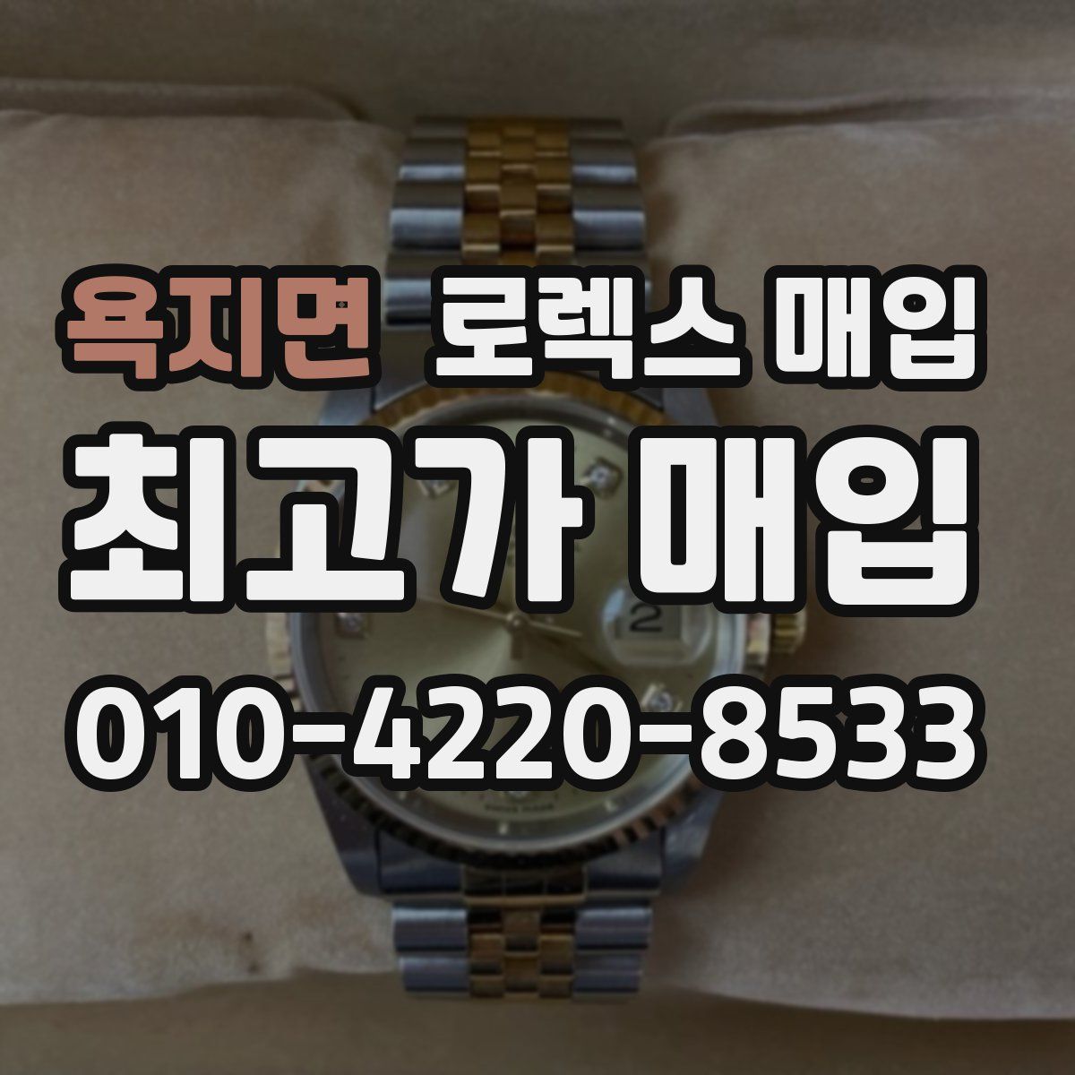 욕지면 로렉스 매입