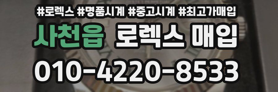 사천읍 로렉스 매입