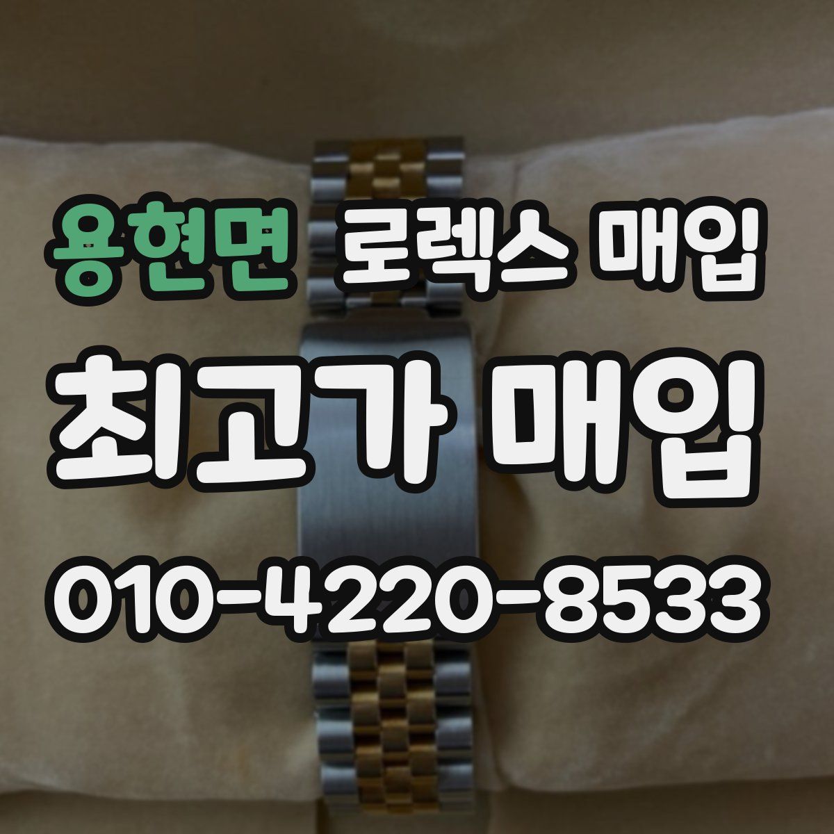 용현면 로렉스 매입