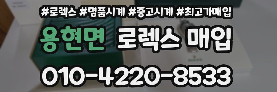 용현면 로렉스 매입