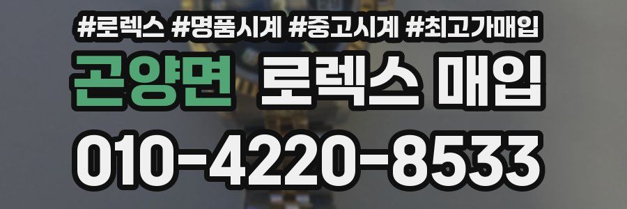 곤양면 로렉스 매입
