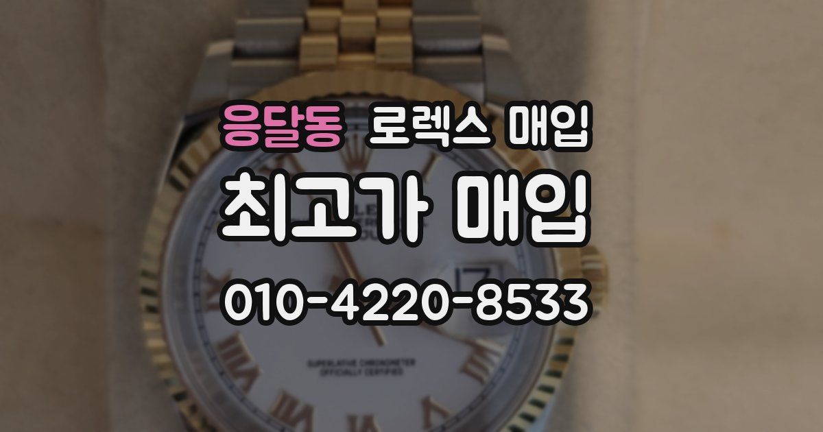 응달동 로렉스 매입