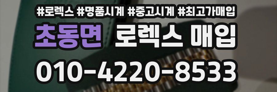 초동면 로렉스 매입