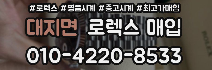 대지면 로렉스 매입