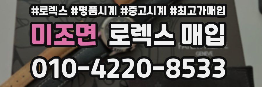 미조면 로렉스 매입