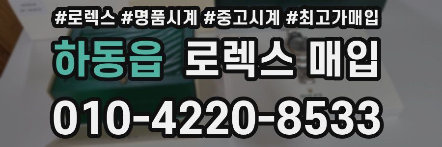 하동읍 로렉스 매입