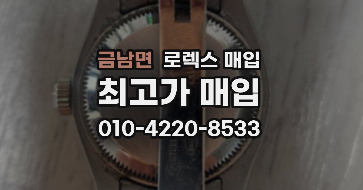 금남면 로렉스 매입