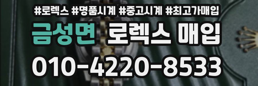금성면 로렉스 매입