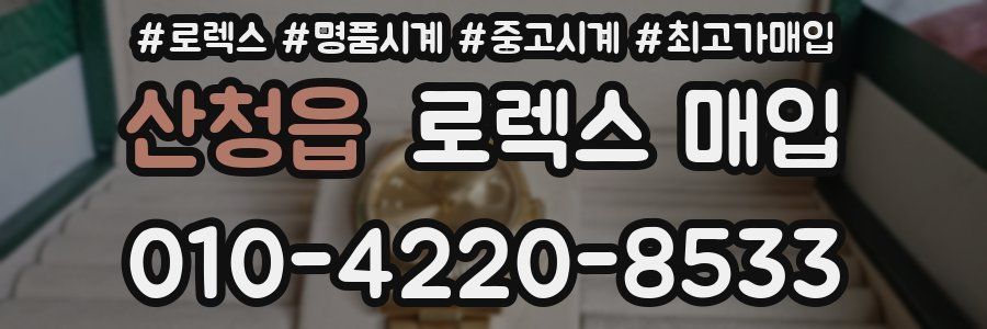 산청읍 로렉스 매입