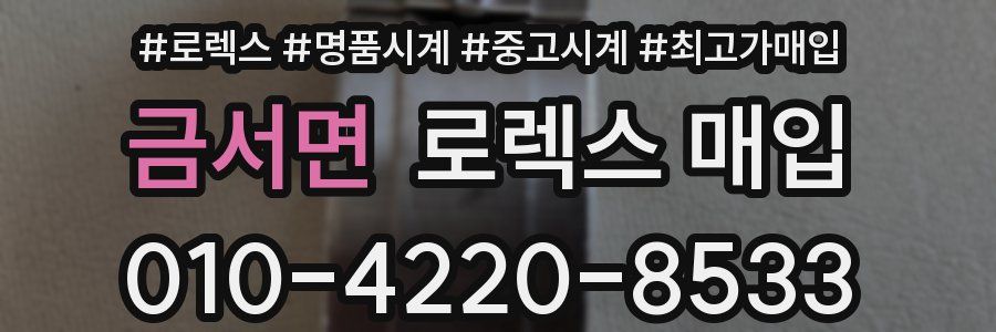 금서면 로렉스 매입