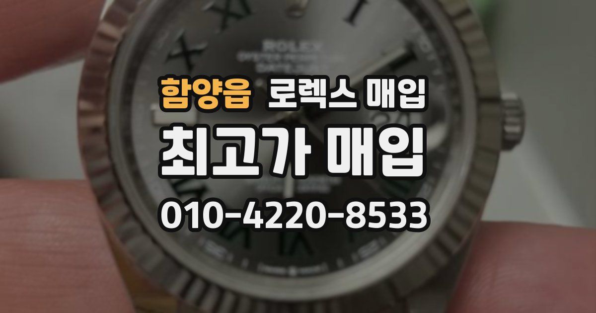 함양읍 로렉스 매입