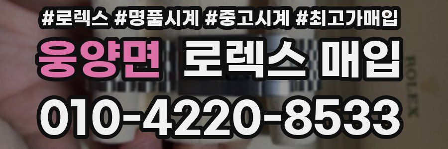 웅양면 로렉스 매입