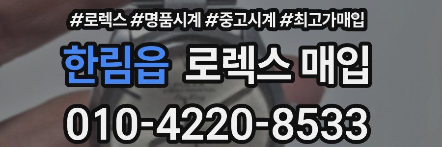 한림읍 로렉스 매입