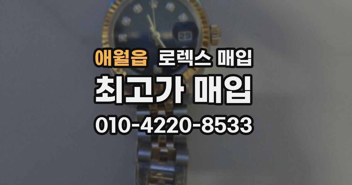 애월읍 로렉스 매입