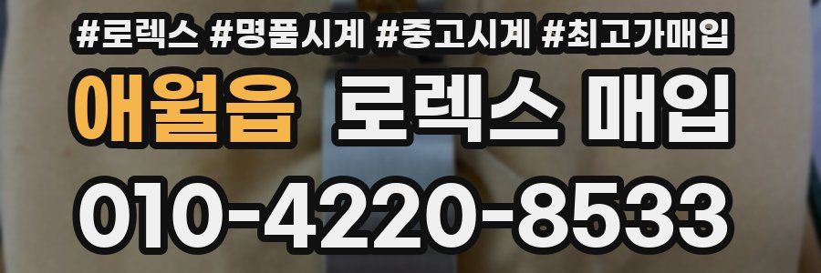 애월읍 로렉스 매입