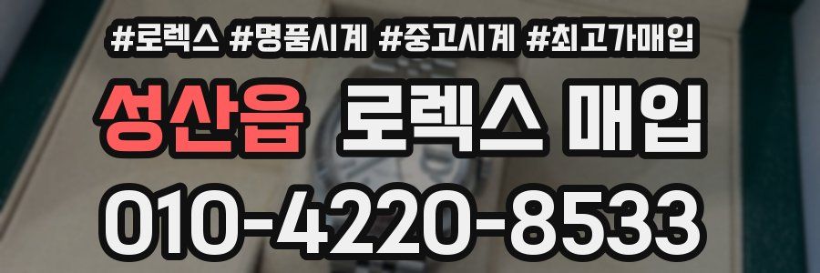 성산읍 로렉스 매입