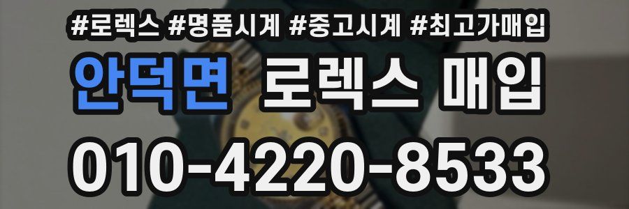 안덕면 로렉스 매입