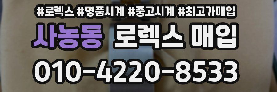 사농동 로렉스 매입