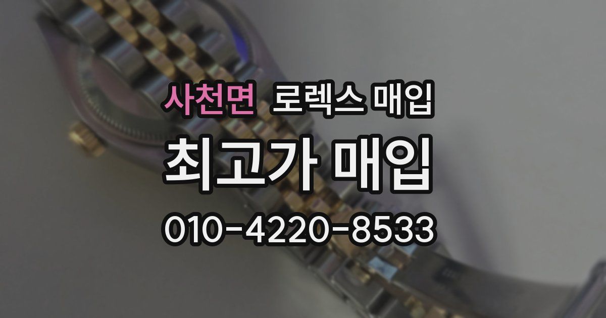 사천면 로렉스 매입