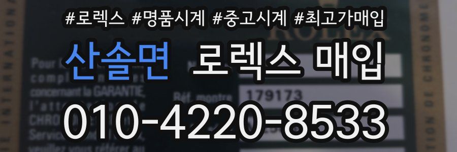 산솔면 로렉스 매입