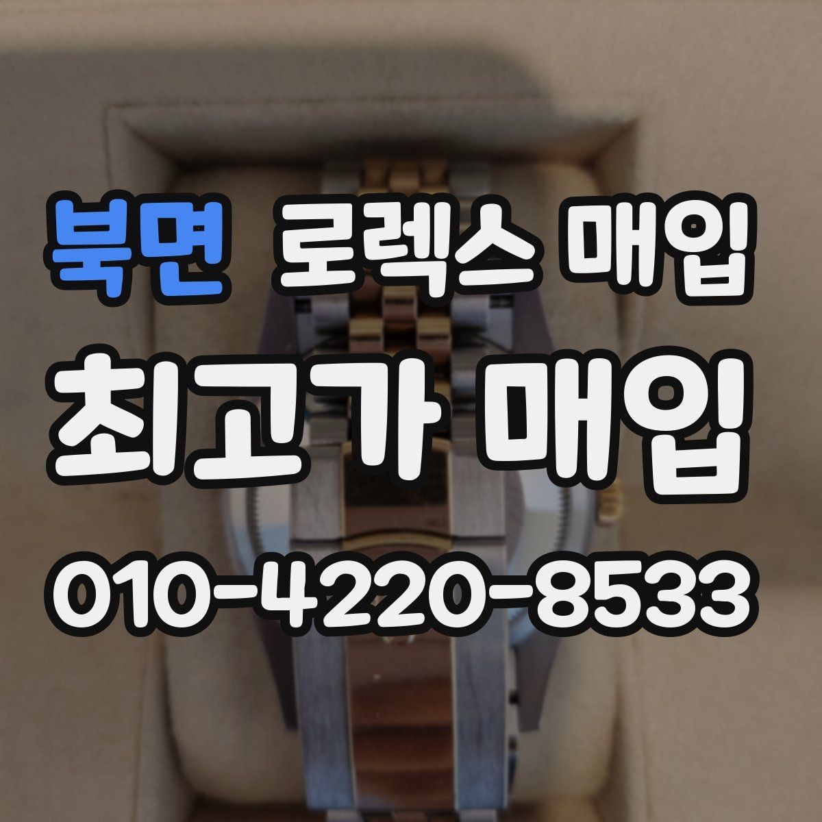 북면 로렉스 매입 플래티넘 모델 시세 확인 방법