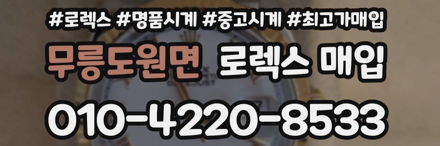 무릉도원면 로렉스 매입