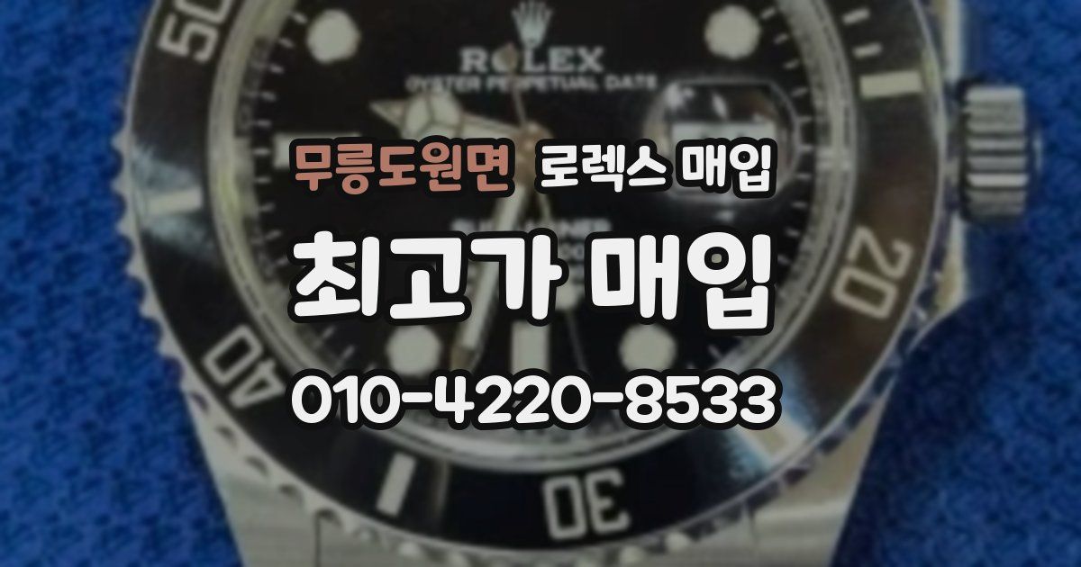 무릉도원면 로렉스 매입