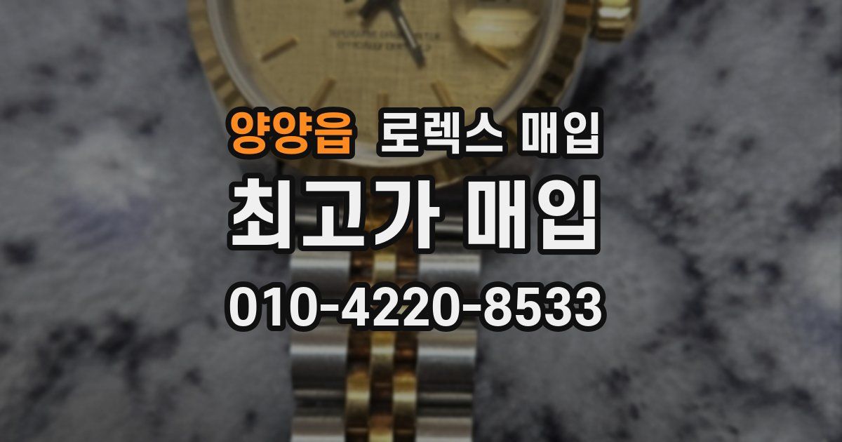 양양읍 로렉스 매입