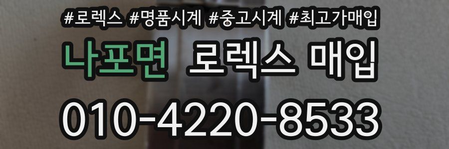 나포면 로렉스 매입