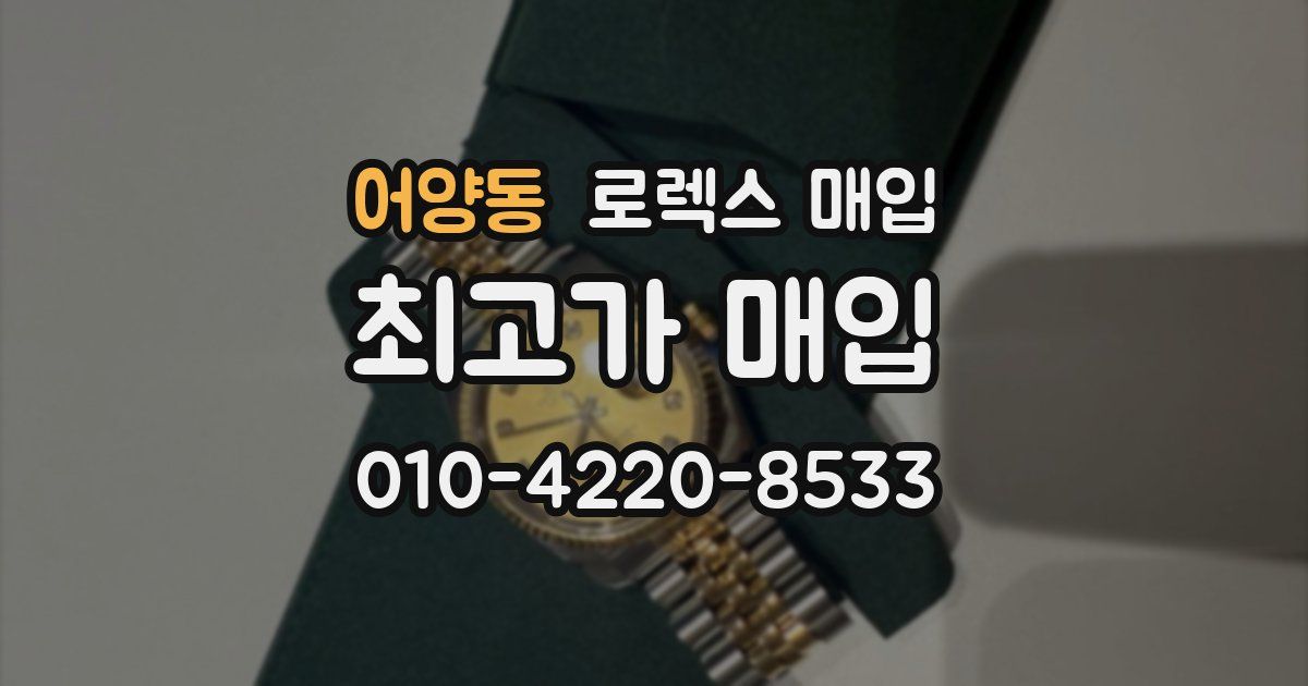 어양동 로렉스 매입