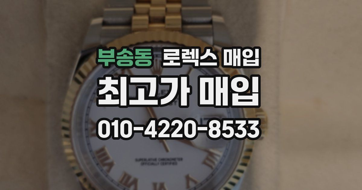 부송동 로렉스 매입