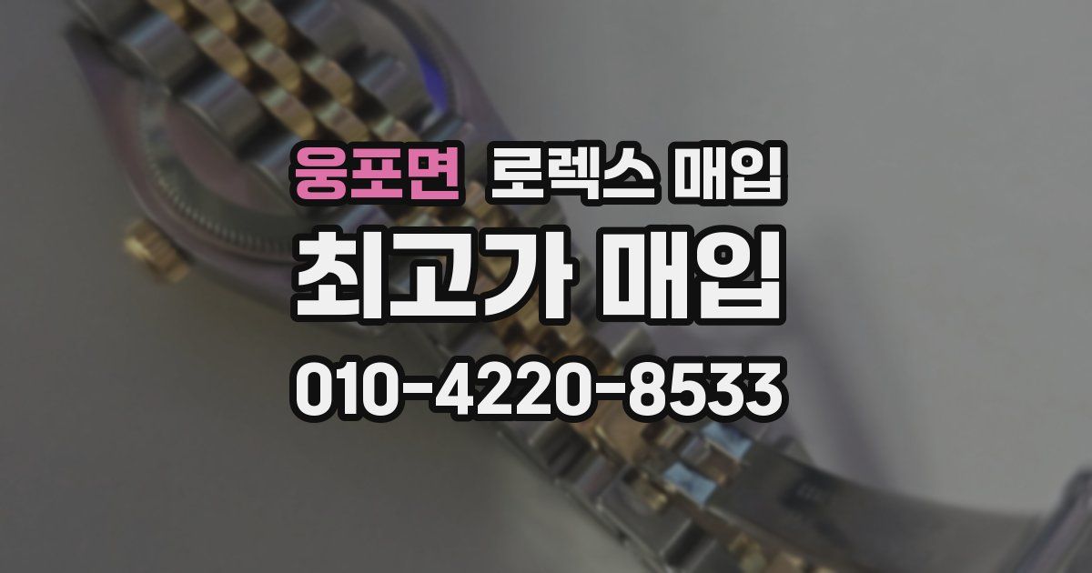 웅포면 로렉스 매입